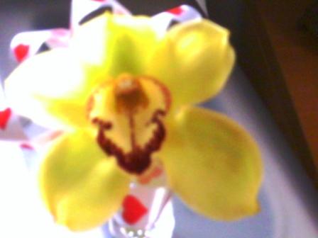 20060218102747-pict0094.jpg