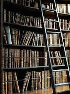 20071121102716-bookshelf.jpg