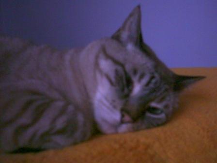 PICT0100.JPG